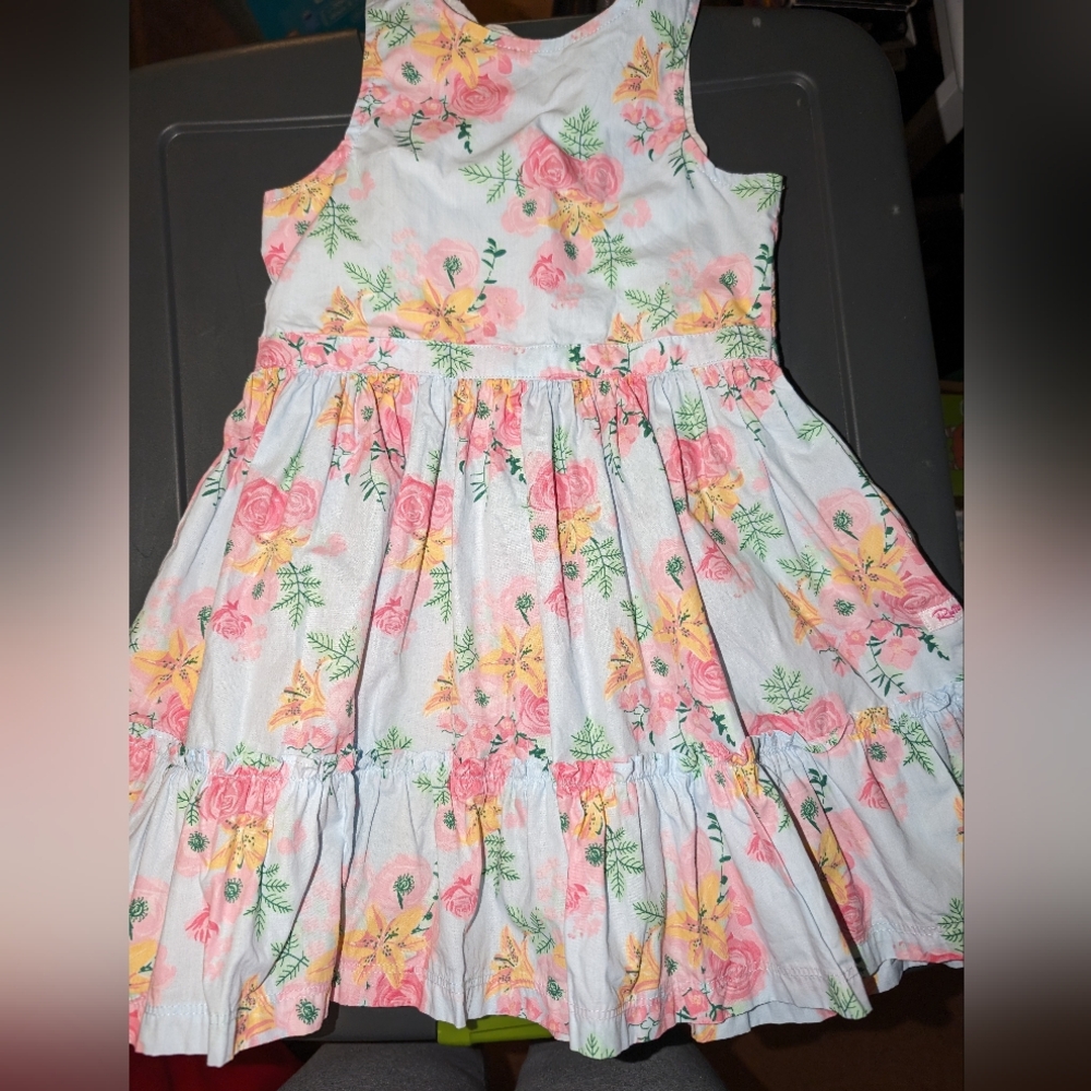 Rufflebutts 4t dress